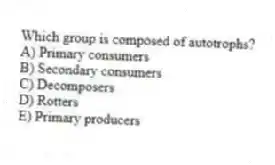 Which group is composed of autotrophs?
A) Primary consumers
B) Secondary consumers
C) Decomposers
D) Rotters
E) Primary producers