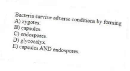 Bacteria survive adverse conditions by forming
A) zygotes.
B) capsules.
C) endospores.
D) glycocalyx.
E) capsules AND endospores.