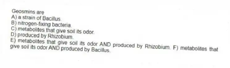 Geosmins are
A) a strain of Bacillus.
B) nitrogen-fixing bacteria.
C) metabolites that give soil its odor.
D) produced by Rhizobium.
E) metabolites that give soil its odor AND produced by Rhizobium. F) metabolites that give soil its odor AND produced by Bacillus.