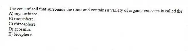 The zone of soil that surrounds the roots and contains a variety of organic exudates is called the
A) mycorrhizae.
B) rootsphere.
C) rhizosphere.
D) geosmin.
E) biosphere.