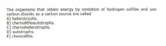 The organisms that obtain energy by oxidation of hydrogen sulfide and use carbon dioxide as a carbon source are called
A) heterotrophs.
B) chemolithoautotrophs.
C) chemoheterotrophs.
D) autotrophs.
E) chemoliths.