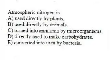 Atmospheric nitrogen is
A) used directly by plants.
B) used directly by animals.
C) turned into ammonia by microorganisms.
D) directly used to make carbohydrates.
E) converted into urea by bacteria.