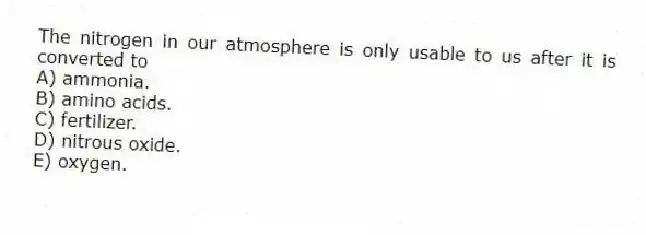 The nitrogen in our atmosphere is only usable to us after it is converted to
A) ammonia.
B) amino acids.
C) fertilizer.
D) nitrous oxide.
E) oxygen.