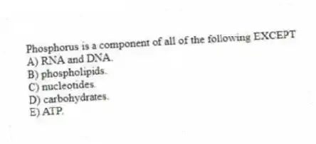 Phosphorus is a component of all of the following EXCEPT
A) RNA and DNA.
B) phospholipids.
C) nucleotides.
D) carbohydrates.
E) ATP.