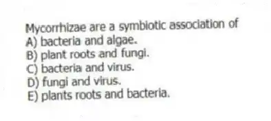 Mycorrhizae are a symbiotic association of
A) bacteria and algae.
B) plant roots and fungi.
C) bacteria and virus.
D) fungi and virus.
E) plants roots and bacteria.