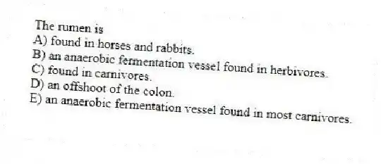 The rumen is
A) found in horses and rabbits.
B) an anaerobic fermentation vessel found in herbivores.
C) found in carnivores.
D) an offshoot of the colon.
E) an anaerobic fermentation vessel found in most carnivores.