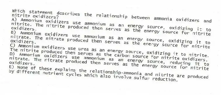 Which statement describes the relationship between ammonia oxidizers and nitrite oxidizers?
A) Ammonium oxidizers use ammonium as an energy source, oxidizing it to nitrite. The nitrite produced then serves as the energy source for nitrite oxidizers.
B) Ammonium oxidizers use ammonium as an energy source, oxidizing it to nitrate. The nitrate produced then serves as the energy source for nitrite oxidizers.
C) Ammonium oxidizers use urea as an energy source, oxidizing it to nitrite. The nitrite produced then serves as the carbon source for nitrite oxidizers.
D) Ammonium oxidizers use ammonium as an energy source, reducing it to nitrate. The nitrate produced then serves as the energy source for nitrite oxidizers.
E) None of these explains the relationship-ammonia and nitrite are produced by different nutrient cycles which also involve sulfur reduction.