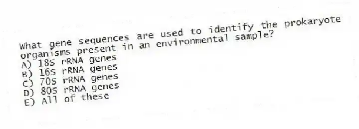 What gene sequences are used to identify the prokaryote organisms present in an environmental sample?
A) 18S rRNA genes
B) 16S rRNA genes
C) 70S rRNA genes
D) 80S rRNA genes
E) All of these