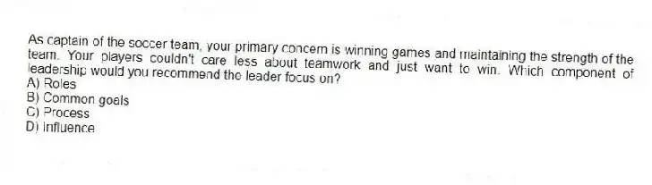 As captain of the soccer team, your primary concern is winning games and maintaining the strength of the team. Your players couldn't care less about teamwork and just want to win. Which component of leadership would you recommend the leader focus on?
A) Roles
B) Common goals
C) Process
D) Influence