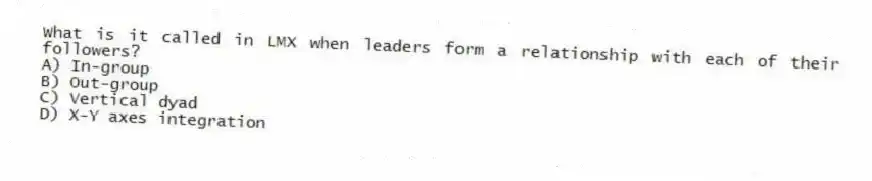 What is it called in LMX when leaders form a relationship with each of their followers?
A) In-group
B) Out-group
C) Vertical dyad
D) X-Y axes integration