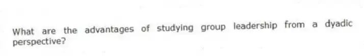 What are the advantages of studying group leadership from a dyadic perspective?