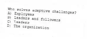 Who solves adaptive challenges?
A) Employees
B) Leaders and followers
C) Leaders
D) The organization