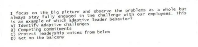 I focus on the big picture and observe the problems as a whole but always stay fully engaged in the challenge with our employees. This is an example of which adaptive leader behavior?
A) Identify adaptive challenges
B) Competing commitments
C) Protect leadership voices from below
D) Get on the balcony