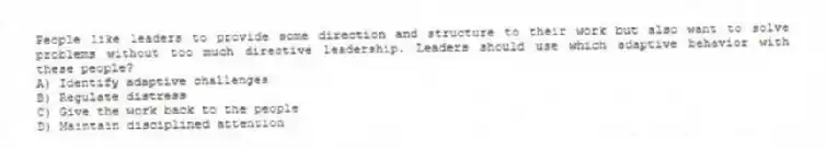 People like leaders to provide some direction and structure to their work but also want to solve problems without too much directive leadership. Leaders should use which adaptive behavior with these people?
A) Identify adaptive challenges
B) Regulate distress
C) Give the work back to the people
D) Maintain disciplined attention