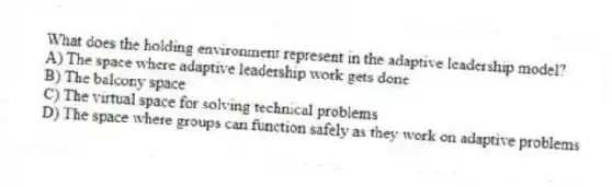 What does the holding environment represent in the adaptive leadership model?
A) The space where adaptive leadership work gets done
B) The balcony space
C) The virtual space for solving technical problems
D) The space where groups can function safely as they work on adaptive problems