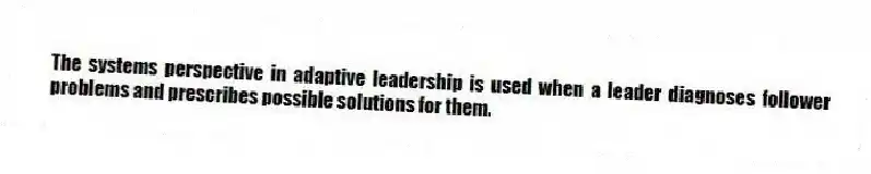 The systems perspective in adaptive leadership is used when a leader diagnoses follower problems and prescribes possible solutions for them.