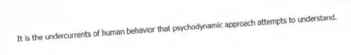 It is the undercurrents of human behavior that psychodynamic approach attempts to understand.