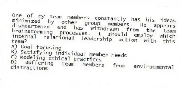 One of my team members constantly has his ideas minimized by other group members. He appears disheartened and has withdrawn from the team brainstorming processes. I should employ which internal relational leadership action with this team?
A) Goal focusing
B) Satisfying individual member needs
C) Modeling ethical practices
D) Buffering team members from environmental distractions