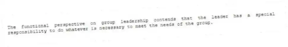 The functional perspective on group leadership contends that the leader has a special responsibility to do whatever is necessary to meet the needs of the group.