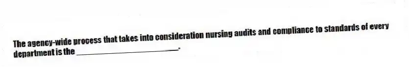 The agency-wide process that takes into consideration nursing audits and compliance to standards of every department is the ______________________.