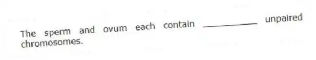 The sperm and ovum each contain __________ unpaired chromosomes.