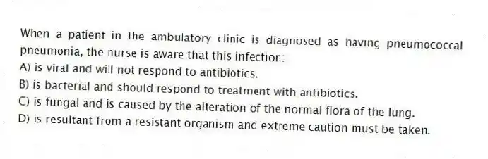 When a patient in the ambulatory clinic is diagnosed as having pneumococcal pneumonia, the nurse is aware that this infection:
A) is viral and will not respond to antibiotics.
B) is bacterial and should respond to treatment with antibiotics.
C) is fungal and is caused by the alteration of the normal flora of the lung.
D) is resultant from a resistant organism and extreme caution must be taken.