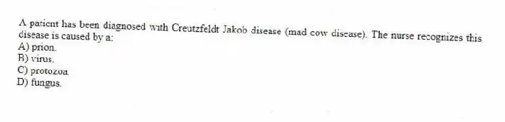 A patient has been diagnosed with Creutzfeldt Jakob disease (mad cow disease). The nurse recognizes this disease is caused by a:
A) prion.
B) virus.
C) protozoa.
D) fungus.