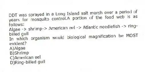 DDT was sprayed in a Long Island salt marsh over a period of years for mosquito control.A portion of the food web is as follows:
Algae -> shrimp-> American eel -> Atlantic needlefish -> ring-billed gull
In which organism would biological magnification be MOST evident?
A)Algae
B)Shrimp
C)American eel
D)Ring-billed gull