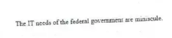 The IT needs of the federal government are miniscule.