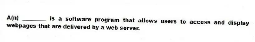A(n) _________ is a software program that allows users to access and display webpages that are delivered by a web server.
