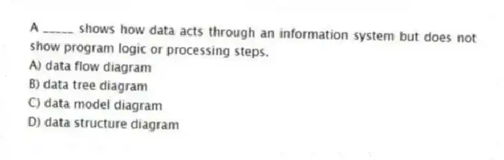 A _____ shows how data acts through an information system but does not show program logic or processing steps.
A) data flow diagram
B) data tree diagram
C) data model diagram
D) data structure diagram
