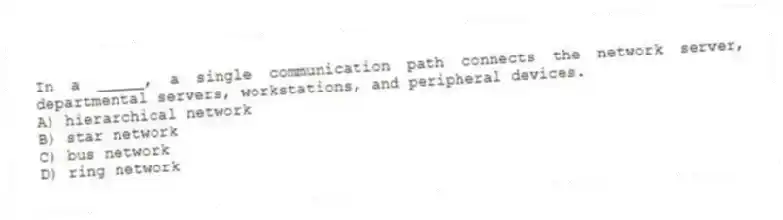 In a _____, a single communication path connects the network server, departmental servers, workstations, and peripheral devices.
A) hierarchical network
B) star network
C) bus network
D) ring network