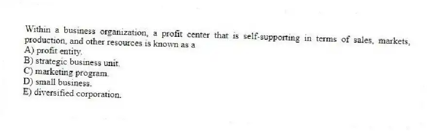 Within a business organization, a profit center that is self-supporting in terms of sales, markets, production, and other resources is known as a
A) profit entity.
B) strategic business unit.
C) marketing program.
D) small business.
E) diversified corporation.