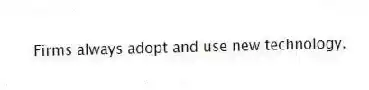 Firms always adopt and use new technology.