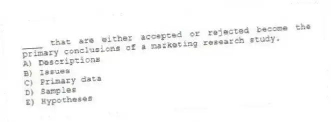 ____ that are either accepted or rejected become the primary conclusions of a marketing research study.
A) Descriptions
B) Issues
C) Primary data
D) Samples
E) Hypotheses