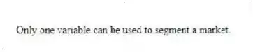 Only one variable can be used to segment a market.