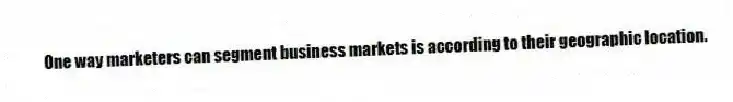One way marketers can segment business markets is according to their geographic location.