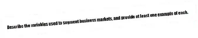 Describe the variables used to segment business markets, and provide at least one example of each.