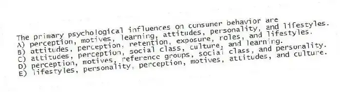 The primary psychological influences on consumer behavior are
A) perception, motives, learning, attitudes, personality, and lifestyles.
B) attitudes, perception, retention, exposure, roles, and lifestyles.
C) attitudes, perception, social class, culture, and learning.
D) perception, motives, reference groups, social class, and personality.
E) lifestyles, personality, perception, motives, attitudes, and culture.