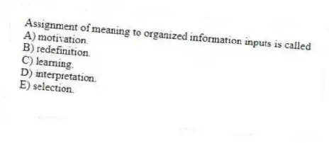 Assignment of meaning to organized information inputs is called
A) motivation.
B) redefinition.
C) learning.
D) interpretation.
E) selection.