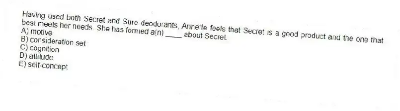 Having used both Secret and Sure deodorants, Annette feels that Secret is a good product and the one that best meets her needs. She has formed a(n) ____ about Secret.
A) motive
B) consideration set
C) cognition
D) attitude
E) self-concept