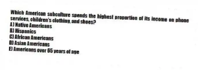 Which American subculture spends the highest proportion of its income on phone services, children's clothing, and shoes?
A) Native Americans
B) Hispanics
C) African Americans
D) Asian Americans
E) Americans over 65 years of age