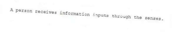 A person receives information inputs through the senses.