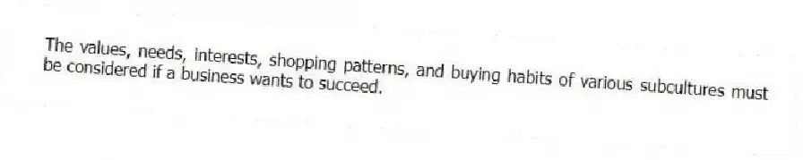 The values, needs, interests, shopping patterns, and buying habits of various subcultures must be considered if a business wants to succeed.