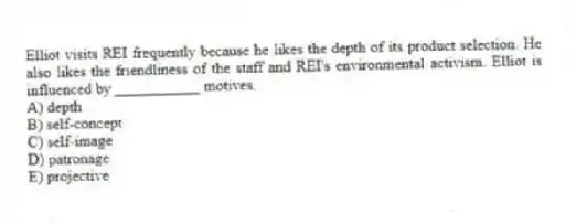 Elliot visits REI frequently because he likes the depth of its product selection. He also likes the friendliness of the staff and REI's environmental activism. Elliot is influenced by ___________ motives.
A) depth
B) self-concept
C) self-image
D) patronage
E) projective