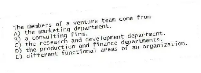 The members of a venture team come from
A) the marketing department.
B) a consulting firm.
C) the research and development department.
D) the production and finance departments.
E) different functional areas of an organization.