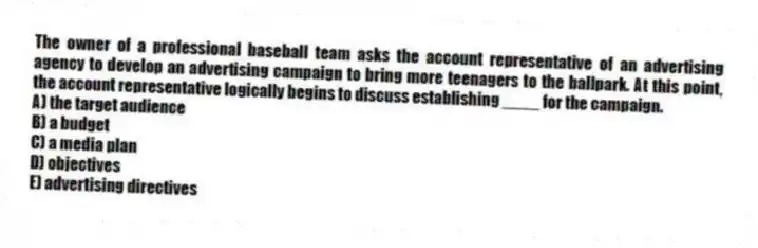 The owner of a professional baseball team asks the account representative of an advertising agency to develop an advertising campaign to bring more teenagers to the ballpark. At this point, the account representative logically begins to discuss establishing ____ for the campaign.
A) the target audience
B) a budget
C) a media plan
D) objectives
E) advertising directives