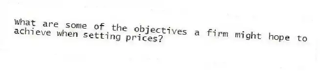 What are some of the objectives a firm might hope to achieve when setting prices?
