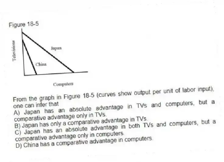 Figure 18-5
-From the graph in Figure 18-5 (curves show output per unit of labor input), one can infer that
A) Japan has an absolute advantage in TVs and computers, but a comparative advantage only in TVs.
B) Japan has only a comparative advantage in TVs.
C) Japan has an absolute advantage in both TVs and computers, but a comparative advantage only in computers.
D) China has a comparative advantage in computers.