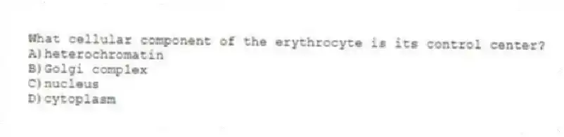 What cellular component of the erythrocyte is its control center?
A)heterochromatin
B)Golgi complex
C)nucleus
D)cytoplasm